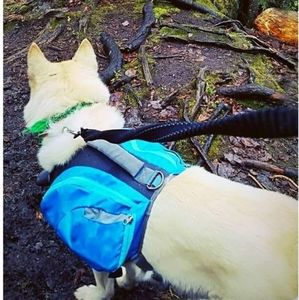 Daypak Dog Backpack Hiking Gear by Outward Hound